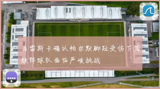马雷斯卡确认帕尔默脚趾受伤下周缺阵球队面临严峻挑战