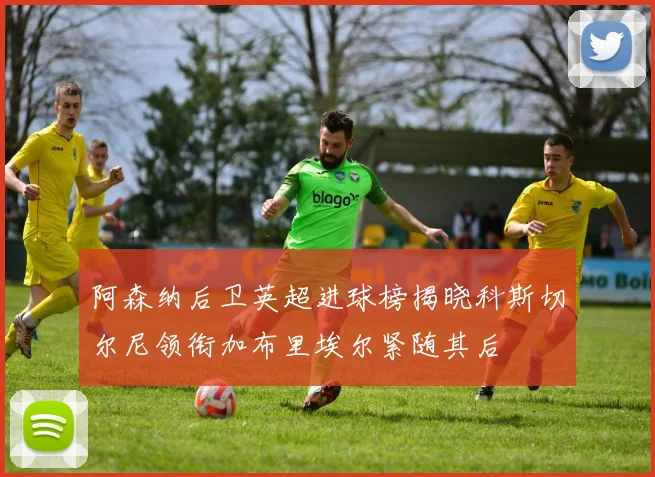 阿森纳后卫英超进球榜揭晓科斯切尔尼领衔加布里埃尔紧随其后