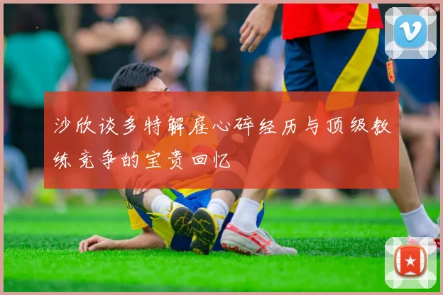 沙欣谈多特解雇心碎经历与顶级教练竞争的宝贵回忆