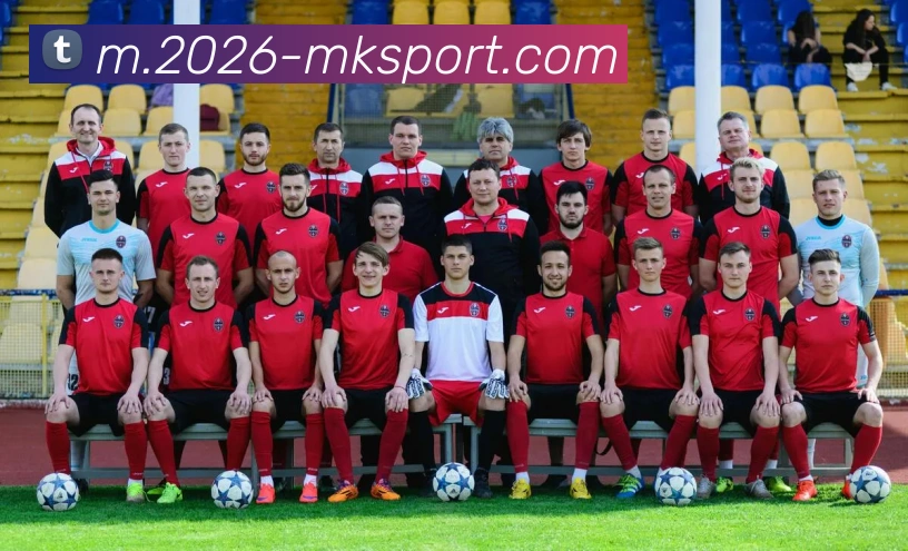 MK体育平台生态图